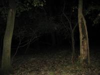 Chicago Ghost Hunters Group investigates Robinson Woods (97).JPG